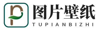 响应式相册图片壁纸网站模板