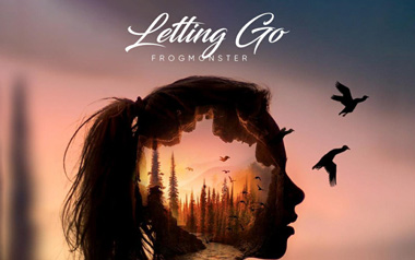 letting go_蔡健雅_C调弹唱谱_吉他谱