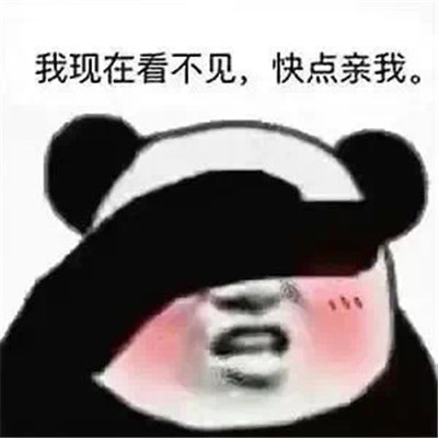 看到就会收藏的热门表情 我现在看不见快点亲我