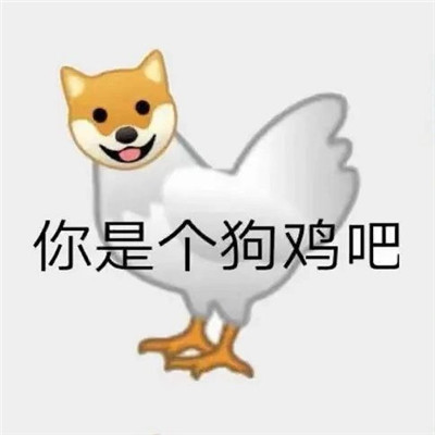 精选聊天的趣味表情包大全 又到了存表情包的快乐时间