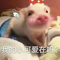 我的小可爱，你在吗