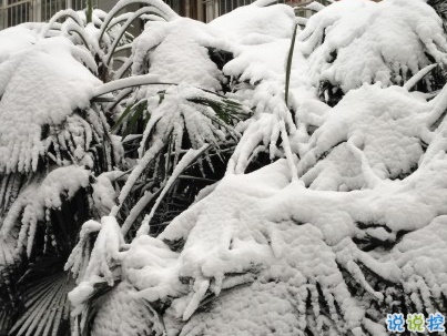 下雪天朋友圈唯美说说配图 下雪了说说简短一句话2