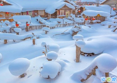 下雪天怎么发说说 2019冬季第一场雪的说说1